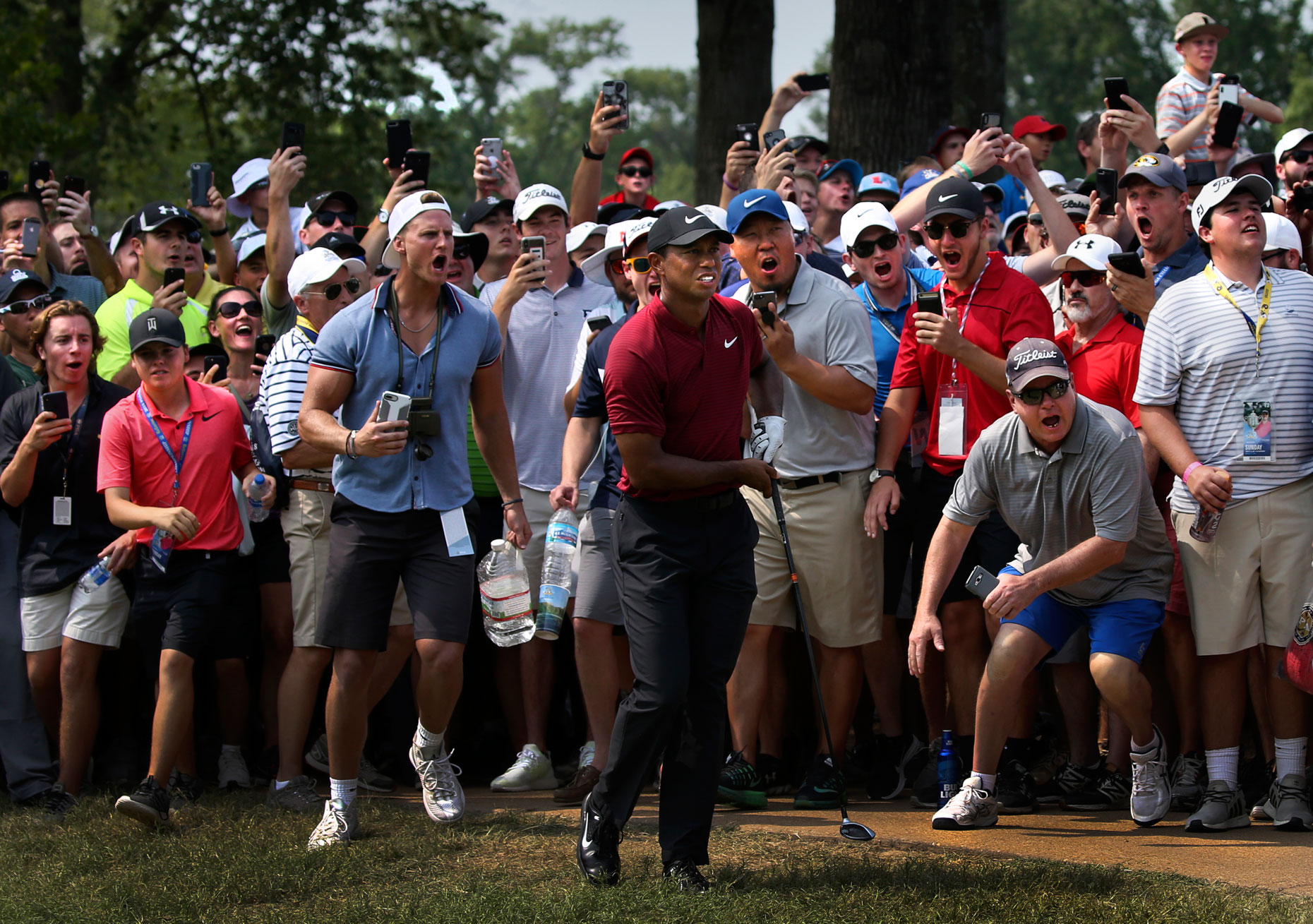 Tiger Effect